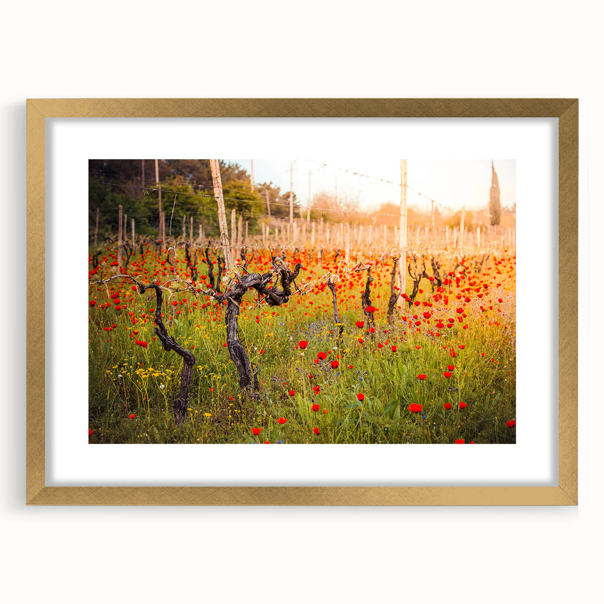 Extra large abstract art print featuring textured patterns in earthy tones, framed in gold, ideal for living room decor.