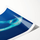 Extra large wall art depicting line art flowers in muted tones on a rolled print, ideal for large living room decor.