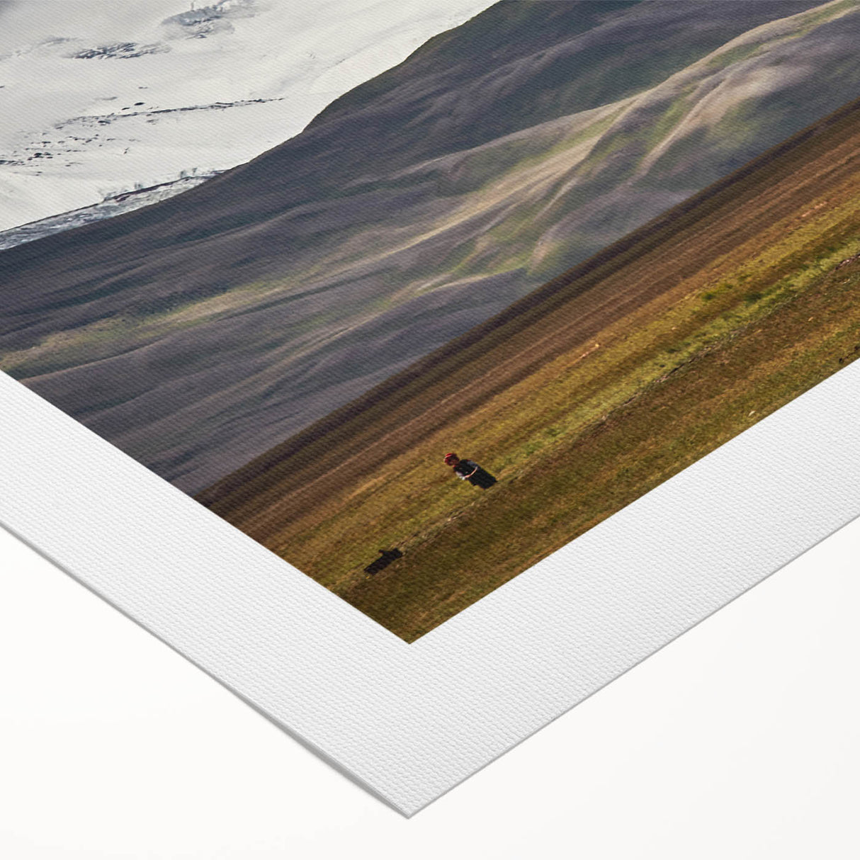 Art deco poster featuring a vibrant Mongolian landscape on rolled canvas, suitable for dining room decor.
