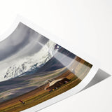 Extra large wall art featuring line art flowers in black on white, rolled print, suitable for large living room decor.