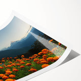 Extra large wall art featuring line art flowers in subtle hues on a rolled print, suitable for large living room decor.