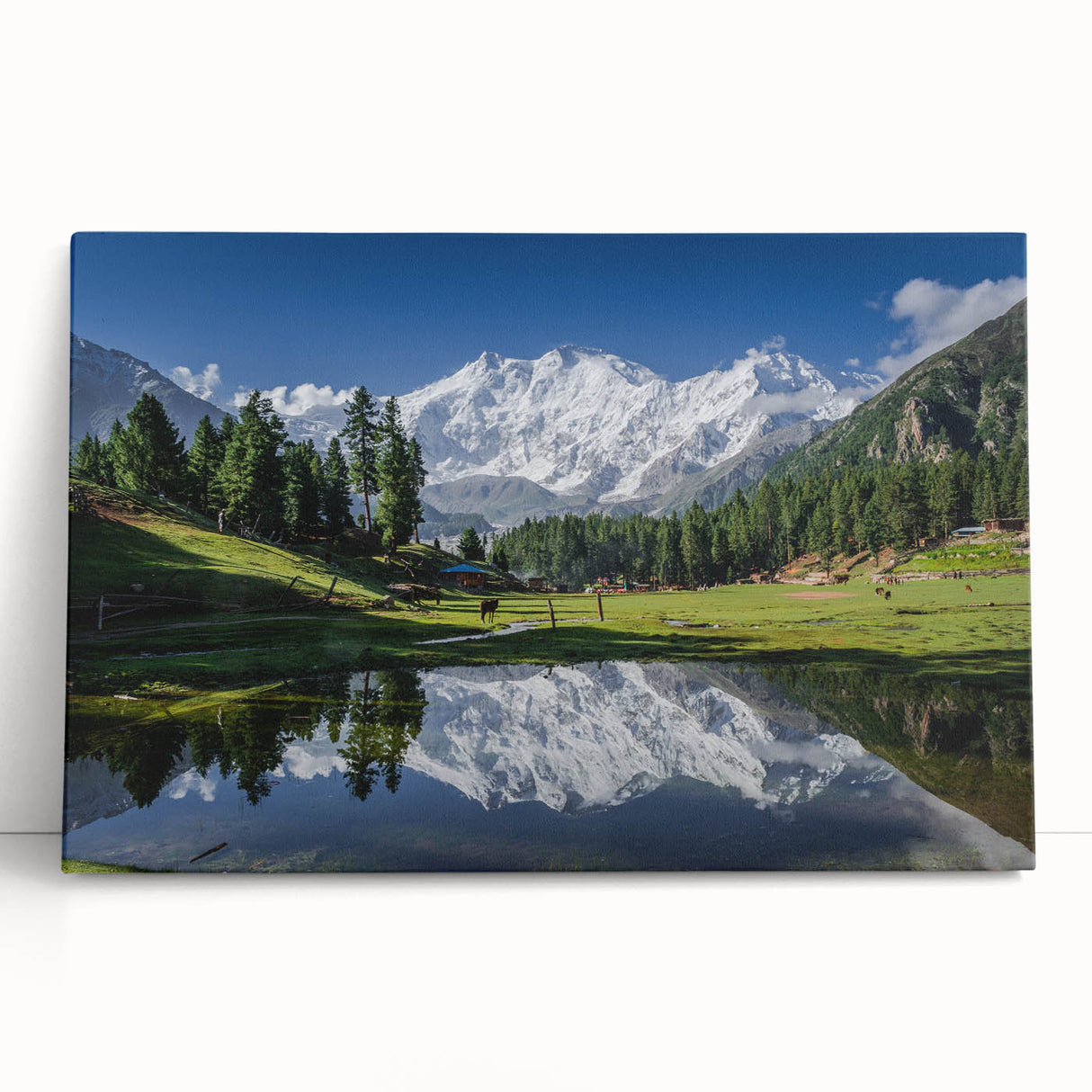 Large black and white stretched canvas featuring a serene Pakistani landscape, ideal for kitchen wall art or bedroom decor.
