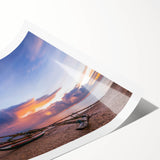 Extra large wall art featuring line art flowers in monochrome, on a rolled print, ideal for large living room decor.