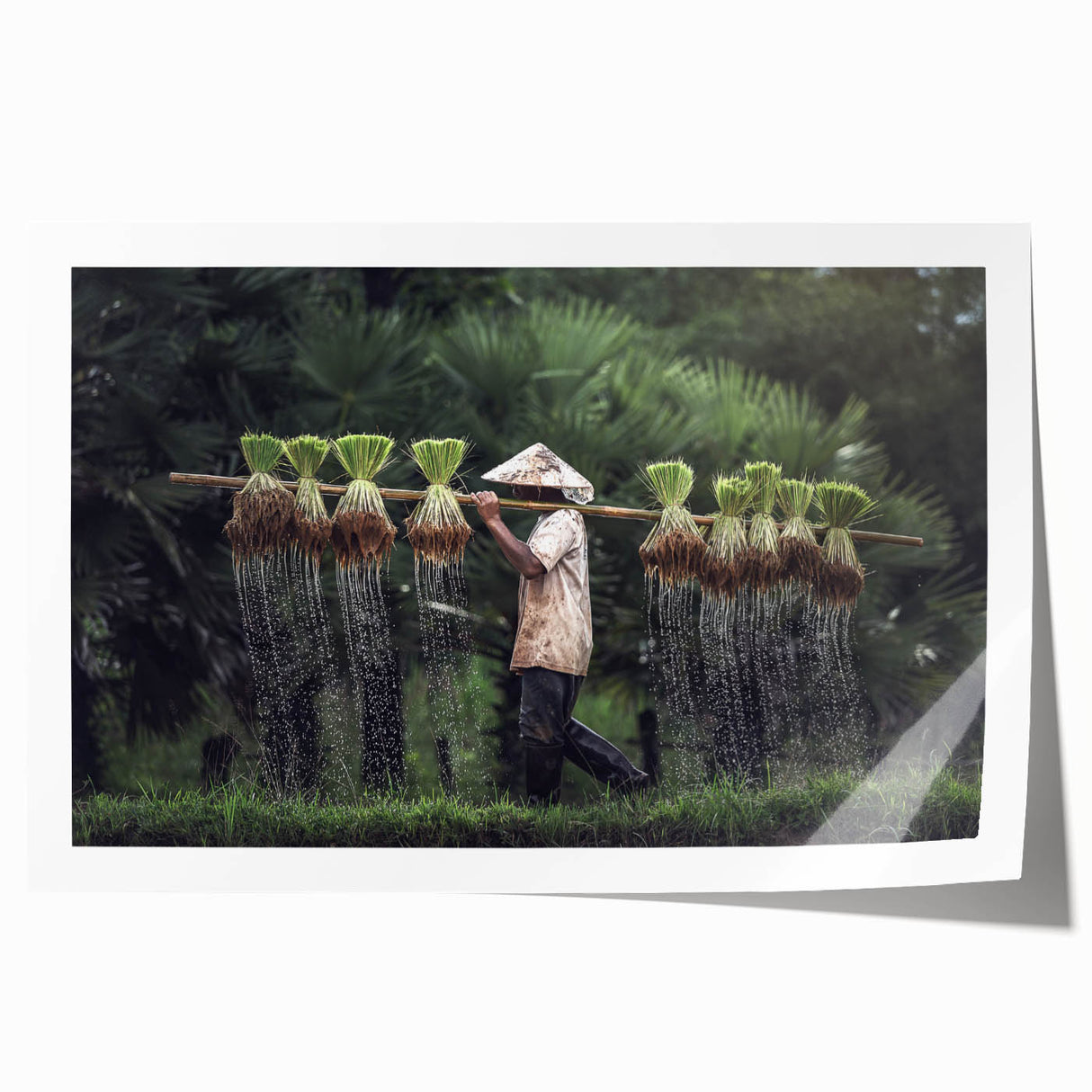 Extra large rolled print featuring a serene Thai landscape with lush greens and floral elements, ideal for dining room decor.