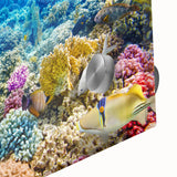 Large abstract depiction of the Great Barrier Reef in vibrant blue and green tones on acrylic glass.