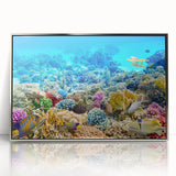 Acrylic print of the Great Barrier Reef in pastel shades, framed in silver, ideal for modern art wall decor.