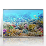 Large art print of the Great Barrier Reef in muted blues and greens, framed in white acrylic.