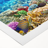 Art deco poster of the Great Barrier Reef in vibrant blues and greens on rolled canvas, suitable for dining room decor.