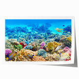 Extra large rolled print of the Great Barrier Reef with vibrant blue and green tones, ideal for dining room wall art.