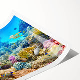 Extra large wall art of the Great Barrier Reef, featuring vibrant marine colors on a rolled print.
