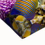 Black and white stretched canvas of the Great Barrier Reef landscape, ideal for bedroom wall art.