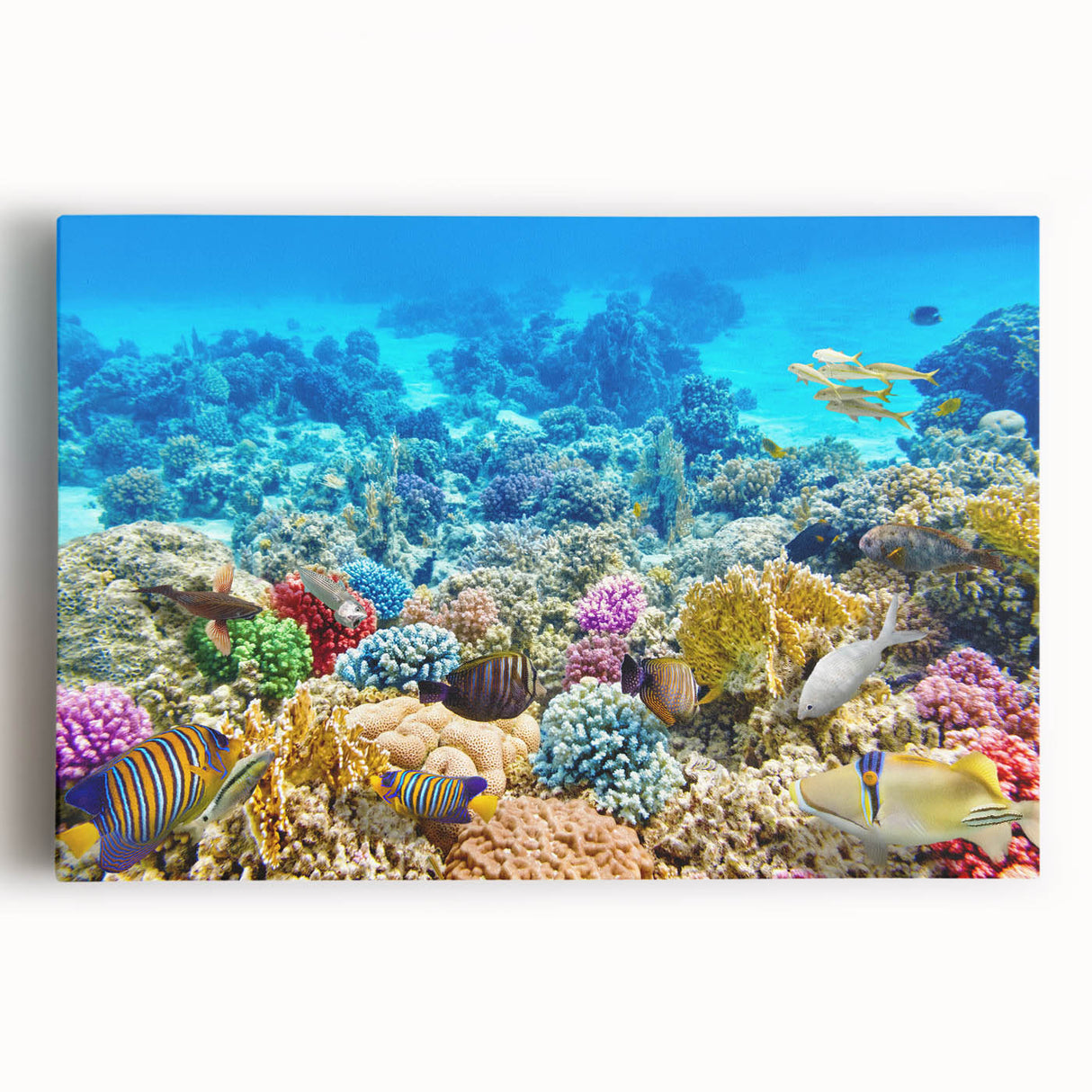 Black and white stretched canvas of the Great Barrier Reef, ideal for kitchen wall art.