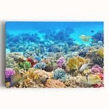 Black and white stretched canvas of the Great Barrier Reef, ideal for kitchen wall art.