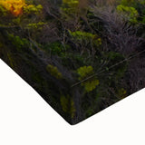 Large art of an Australian landscape in black and white on stretched canvas, suitable for bedroom wall decor.