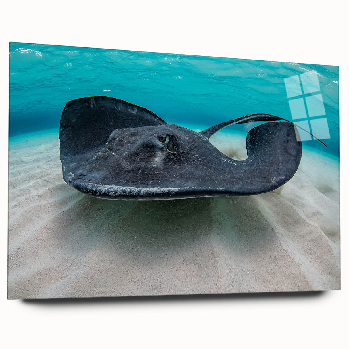 Large abstract wall art depicting a serene Caribbean seascape in cool blue and turquoise tones, printed on acrylic glass.
