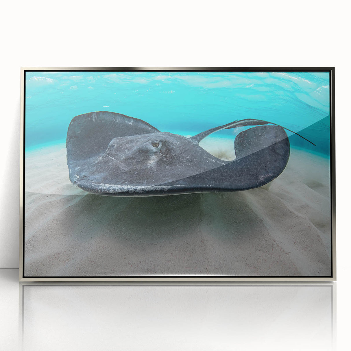 Framed acrylic print of a serene Caribbean seascape in soft blue and green tones, ideal for modern art wall decor.