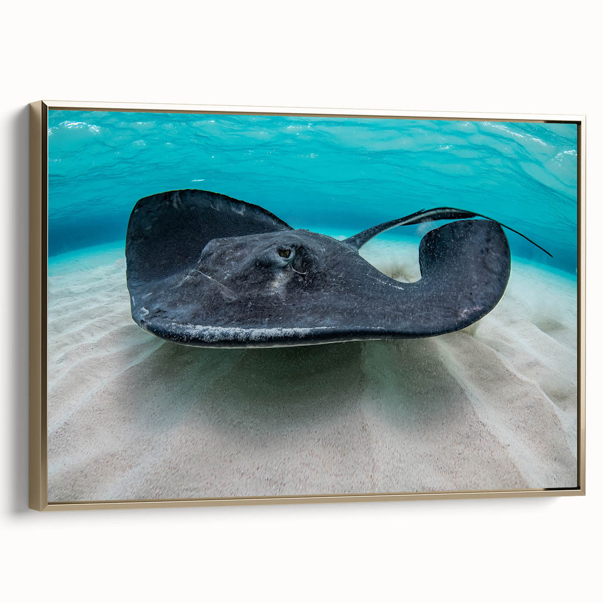 Framed canvas featuring a vintage-style Caribbean landscape with vivid blue waters and lush greenery.