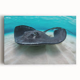 Black and white photo of a Caribbean beach on stretched canvas, ideal for kitchen wall art.