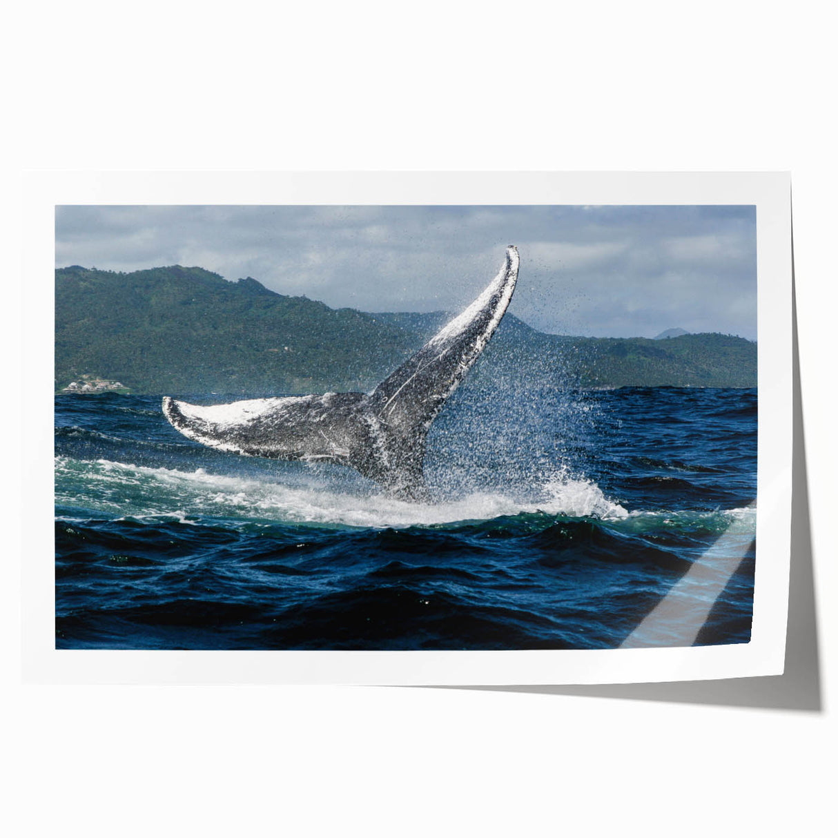 Extra large rolled canvas print of a Caribbean scenery with vibrant floral elements, ideal for dining room wall art.