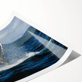 Extra large wall art featuring line art flowers on a rolled print, in pastel shades, ideal for large living room decor.