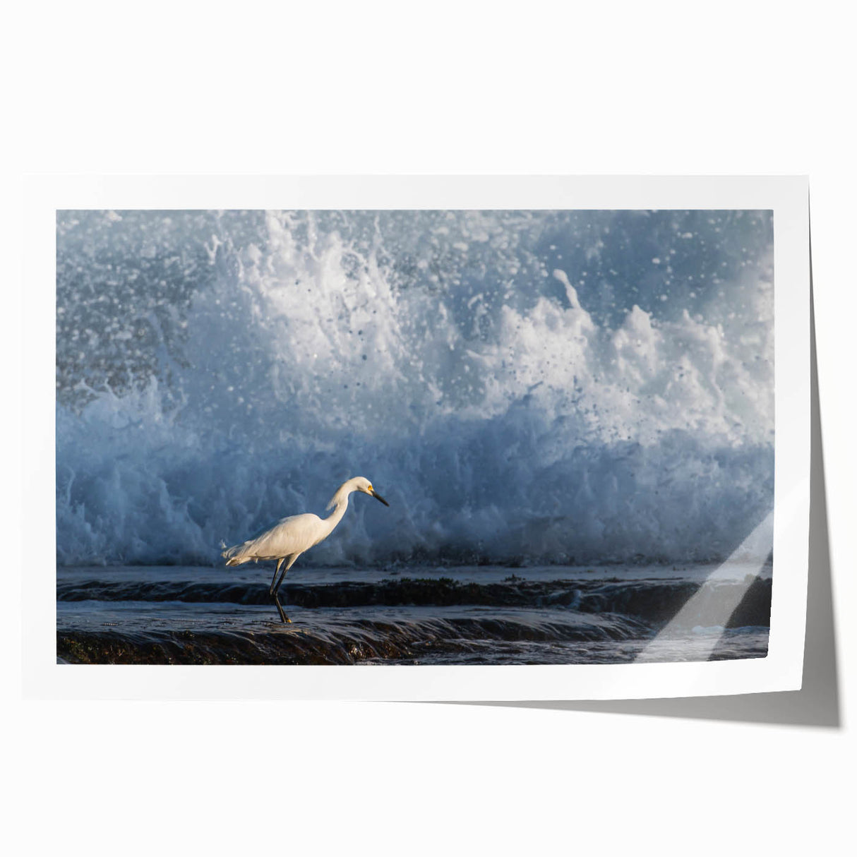 Extra large rolled print of a Caribbean Puerto Rican scenery with vibrant floral elements, ideal for art wall dining room.