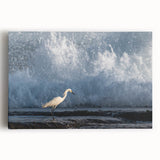 Black and white stretched canvas featuring a serene Puerto Rican coastline, ideal for kitchen wall art.