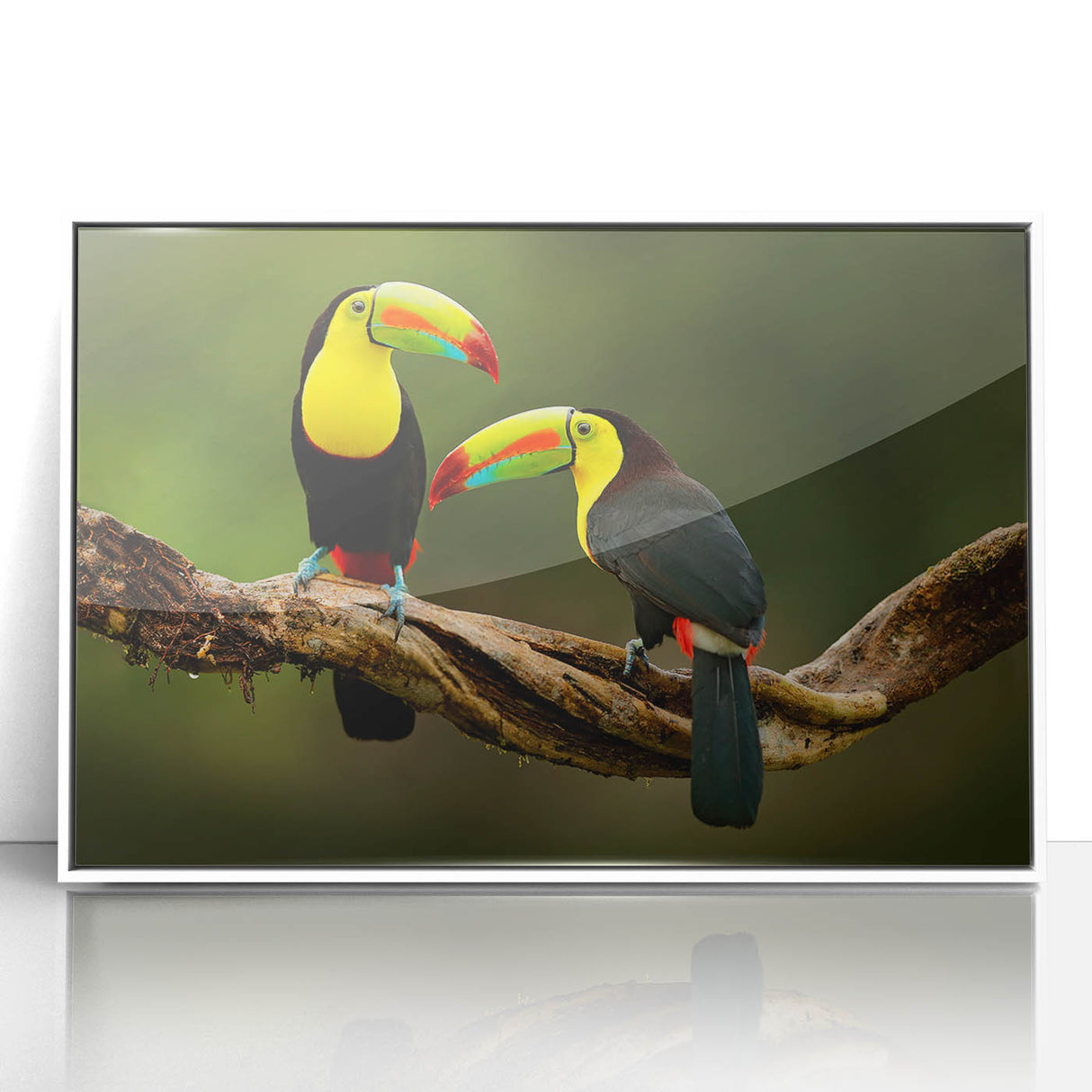 Acrylic print of a serene Belize landscape in soft blue and green tones, framed in white.