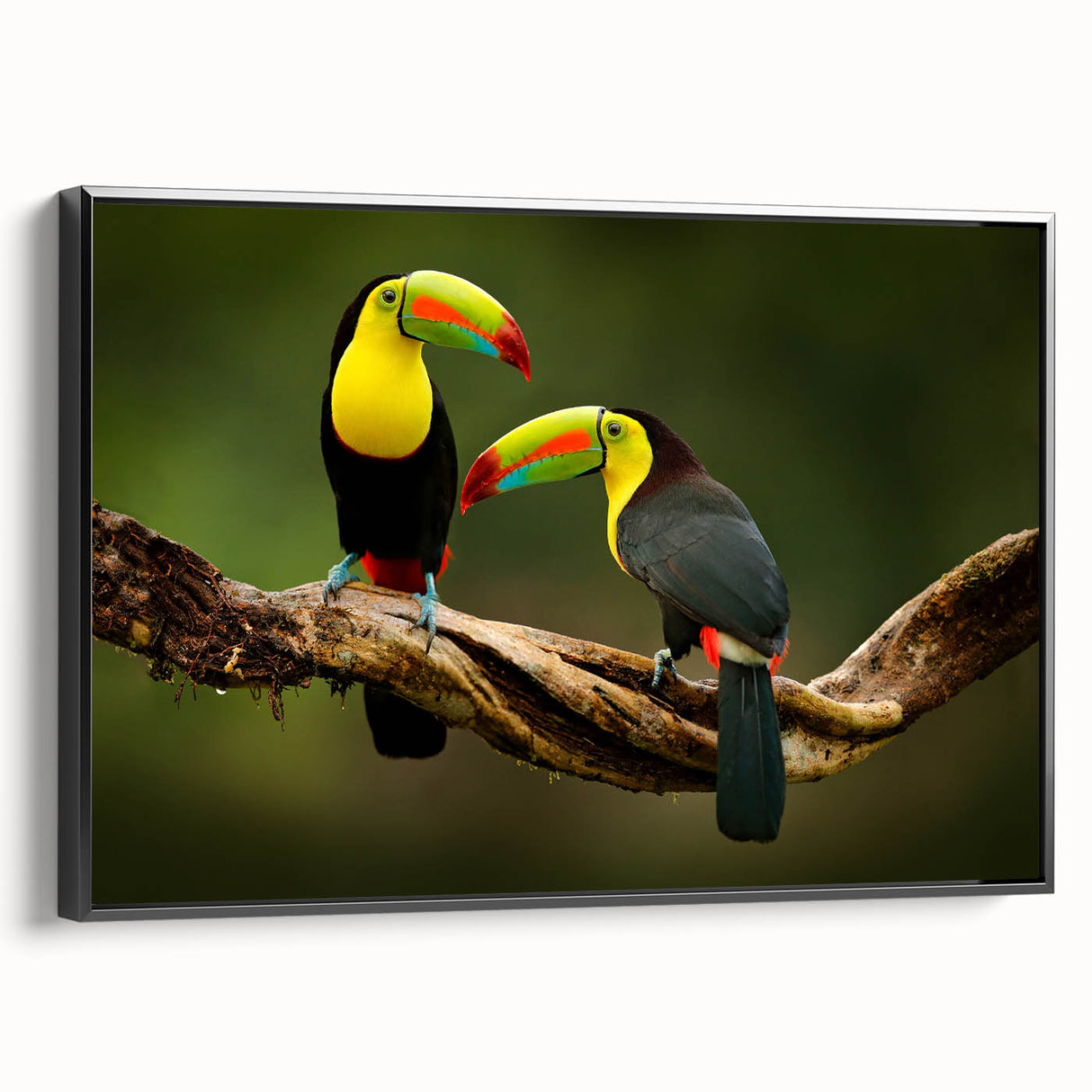 Black and white framed canvas of a vintage Belize landscape, ideal for bedroom wall art.