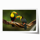 Central American landscape with lush greenery and distant mountains, printed on rolled canvas.