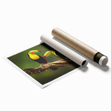 Extra large rolled print of a Belize landscape featuring lush greenery and flowers, ideal for classy bathroom wall art.