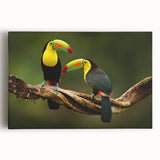 Black and white photograph of a Central American landscape on large stretched canvas, suitable for kitchen art.