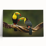 Black and white stretched canvas featuring a scenic Belize landscape, ideal for kitchen wall art or bedroom ambiance.