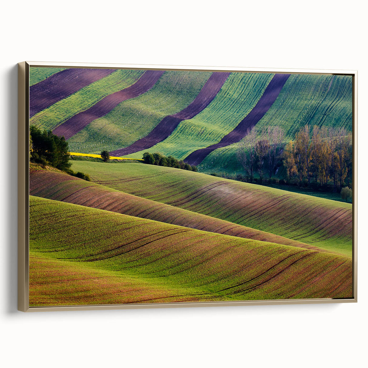 Framed canvas of a Czech Republic landscape in muted gold and black tones, ideal for bedroom wall art.