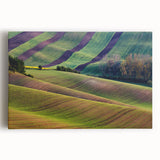 Black and white stretched canvas of Czech Republic scenery, ideal for kitchen wall art or bedroom decor.
