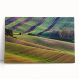 Black and white image of a European cityscape on a large stretched canvas, suitable for kitchen wall art.