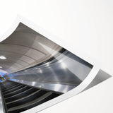 Extra large rolled print featuring line art flowers in muted earth tones, ideal for large living room wall art.