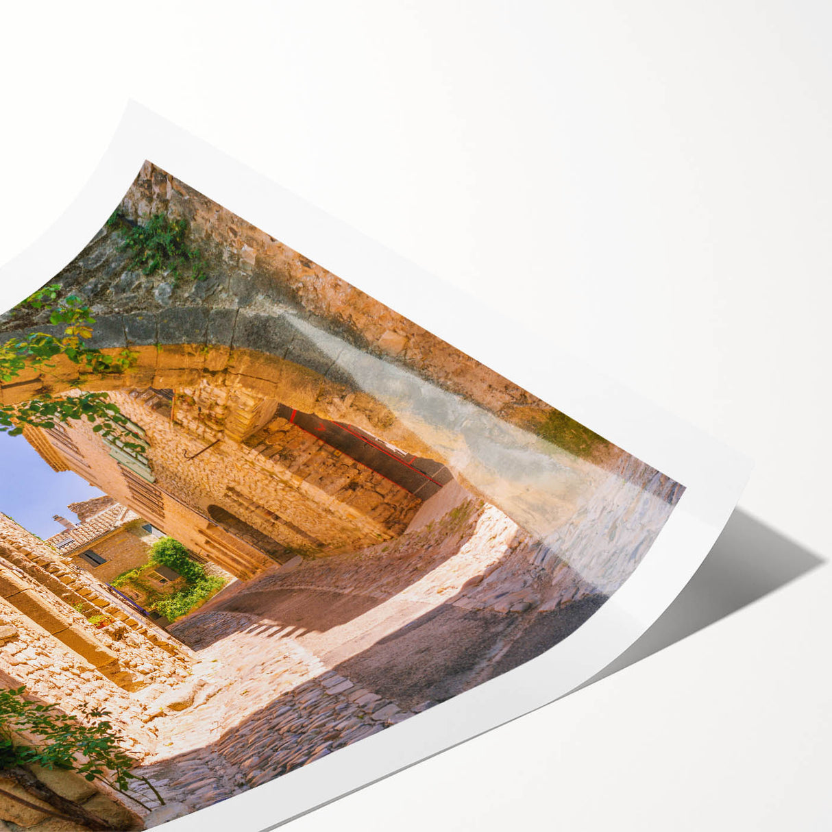 Extra large wall art featuring line art flowers, set in a Provencal landscape with muted earth tones.