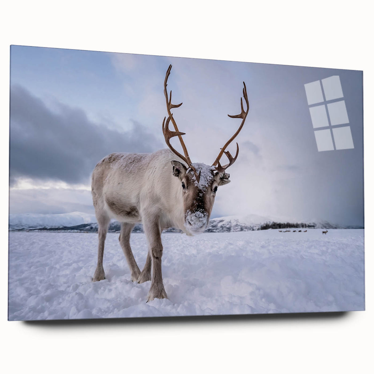Large abstract wall art of a Norwegian landscape in muted blue and gray tones on acrylic glass.