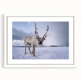 Textured art print of a serene Norwegian landscape in muted blue and green tones, framed with a white mat.