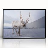 Large abstract wall art featuring a misty Norwegian fjord in muted blue and gray tones, framed in black acrylic.