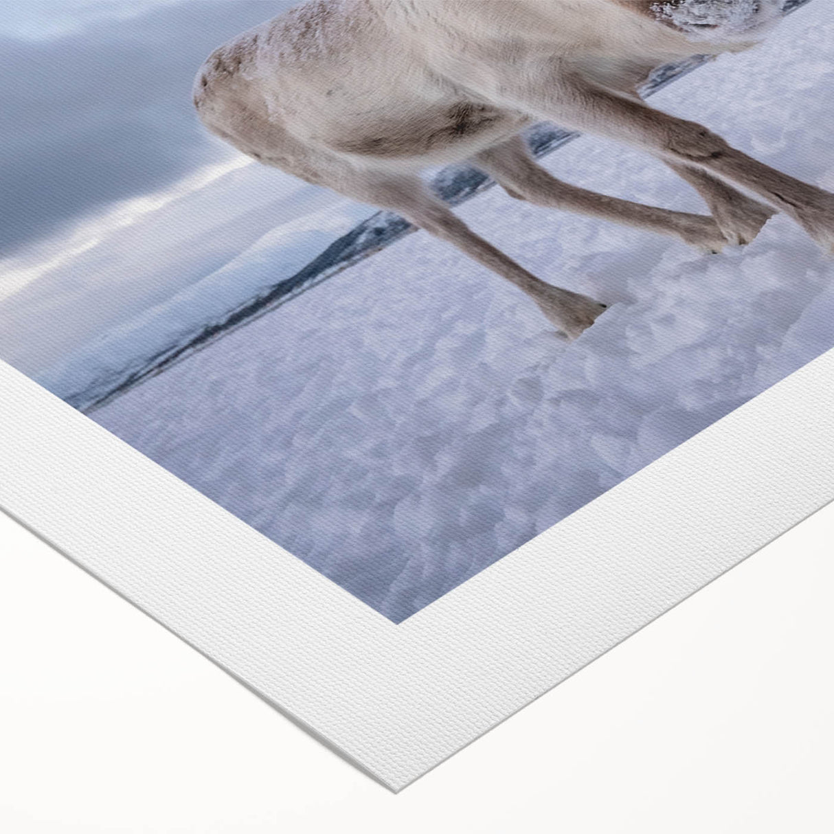 Art Deco poster of a serene Norwegian landscape in muted blue and green hues on rolled canvas.