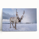 Black and white photo of a Norwegian landscape on large stretched canvas, ideal for kitchen wall art.