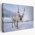 Stretched canvas depicting a serene Norwegian landscape in muted green and blue tones, ideal for kitchen wall art.