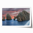 Extra large rolled print of Baja California scenery with vibrant floral elements, perfect for art wall dining room.
