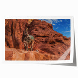 Extra large rolled print of a Middle Eastern scenery with floral designs in muted earth tones.