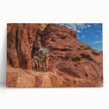 Black and white panoramic photo of an Afghan landscape on stretched canvas, ideal for kitchen wall art or bedroom decor.