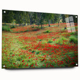 Acrylic glass print of a Middle Eastern scenery with earthy tones and abstract elements, suitable for dining room decor.