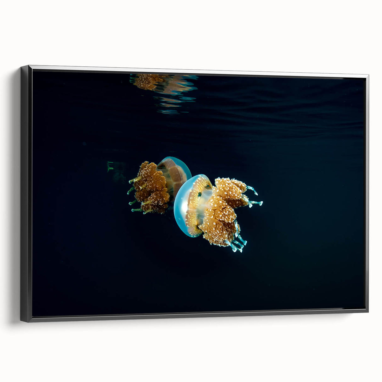 Black and white framed canvas depicting a serene Micronesian landscape, ideal for bedroom wall art.