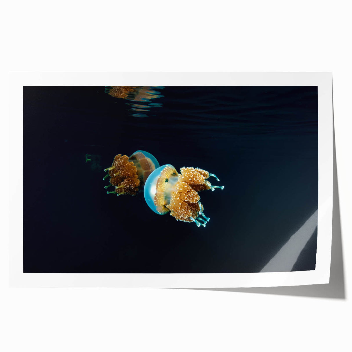 Extra large rolled print of a Micronesian oceanic scenery with vibrant blue and green hues, ideal for art wall dining room.