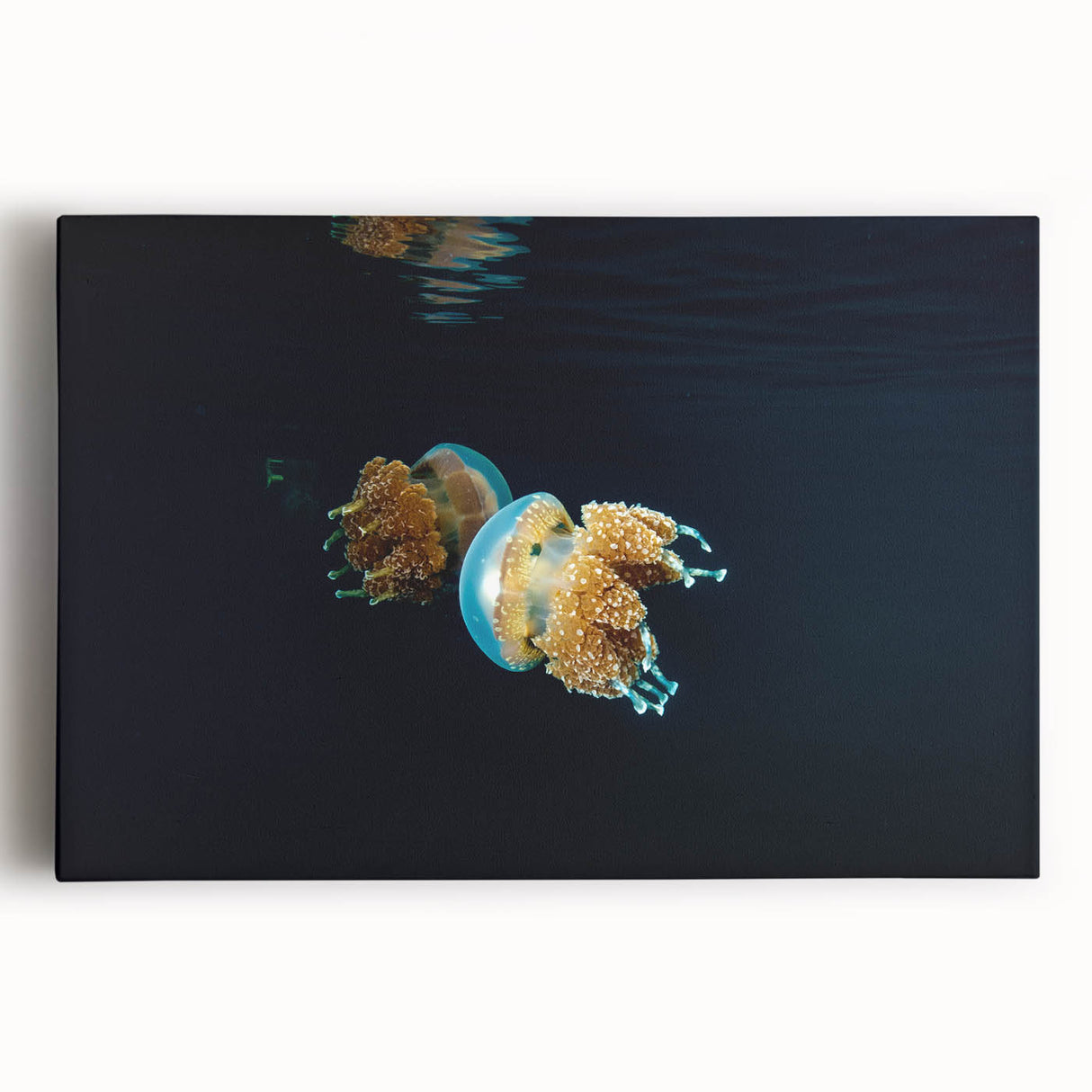 Black and white oceanic landscape on large stretched canvas, ideal for kitchen or bedroom wall art.